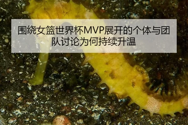 围绕女篮世界杯MVP展开的个体与团队讨论为何持续升温 | c7APP